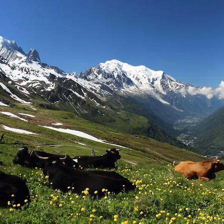 Apartment Ecrin Des Glaciers Combloux
