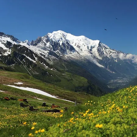 Ecrin Des Glaciers Apartment Combloux
